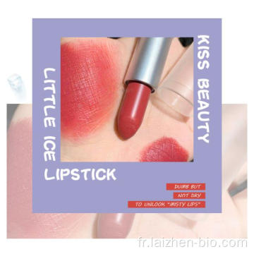 Rouge à lèvres personnalisé mat rouge à lèvres imperméable longue durée